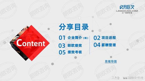 朗歐咨詢駐廠管理輔導(dǎo)實(shí)操案例 薪酬績效管理體系如何打造